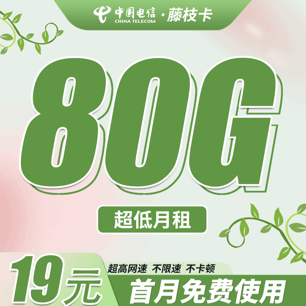 卡世界 电信藤枝卡 主图